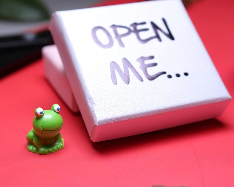 WENGIFT I Love You Frog Gift Desk Buddy Cute little Frog Pocket Hug Frog Lover Best Friend Gift - Image 2